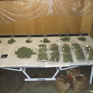 Harvest to Date