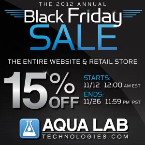 Black Friday Sale