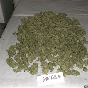 Pure Kush