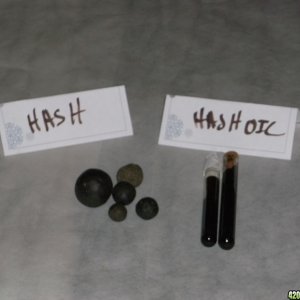 Hash and Hash Oil