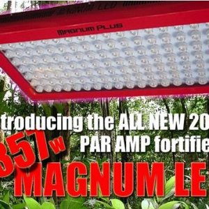 357_Mag_LED