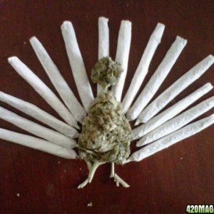 turkey-joint_1_