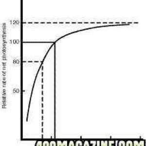 co2/ rate of photosynthesis chart