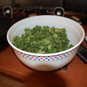 246_GRAMS_IN_BOWL