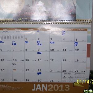 calendar1