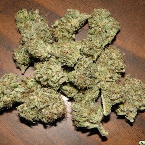 Organic_G_D_P_x_Sour_Diesel