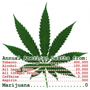 Cannabis Facts & Statistics