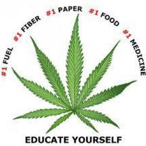 Cannabis Facts & Statistics