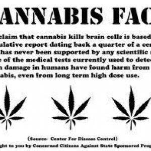 Cannabis Facts & Statistics