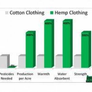 Cannabis Facts & Statistics