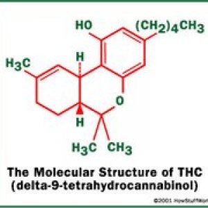 Cannabis Facts & Statistics