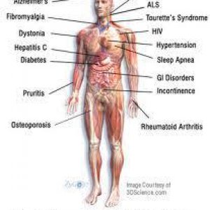 Cannabis Facts & Statistics