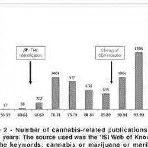 Cannabis Facts & Statistics