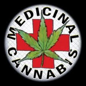 Cannabis Facts & Statistics