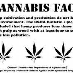 Cannabis Facts & Statistics