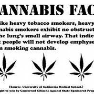 Cannabis Facts & Statistics