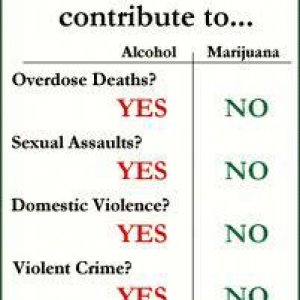 Cannabis Facts & Statistics