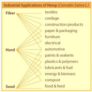 Cannabis Facts & Statistics