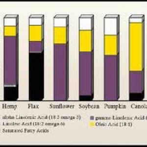 Cannabis Facts & Statistics