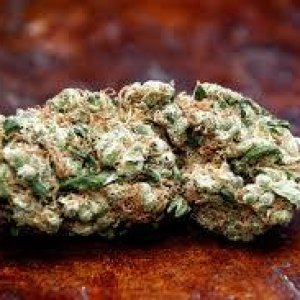 Cannabis Facts & Statistics