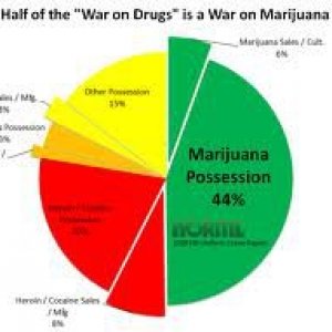 Cannabis Facts & Statistics