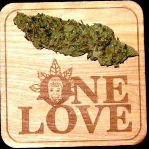 Cannabis Facts & Statistics