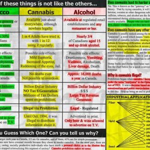 Cannabis Facts & Statistics