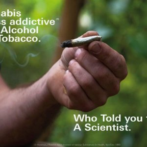 Cannabis Facts & Statistics