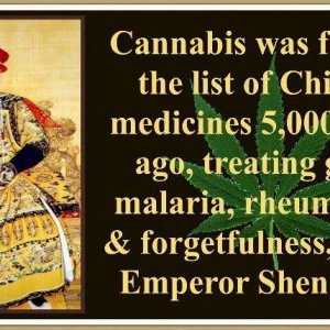 Cannabis Facts & Statistics