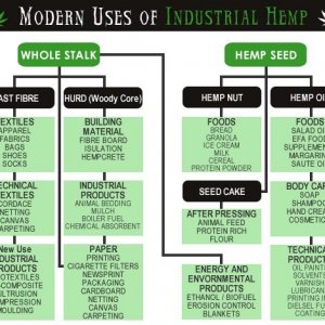 Cannabis Facts & Statistics