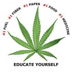 Cannabis Facts & Statistics