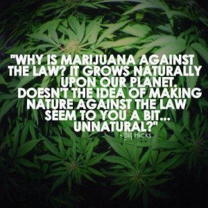 Cannabis Facts & Statistics