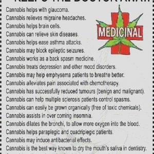 Cannabis Facts & Statistics