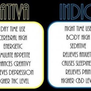 Media 'Cannabis Facts &amp; Statistics' in category 'Cannabis Facts & Statistics'