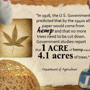 Cannabis Facts & Statistics