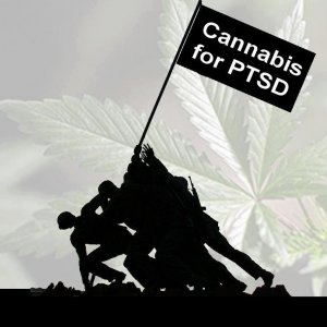 Cannabis Facts & Statistics