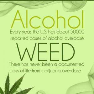 Cannabis Facts & Statistics