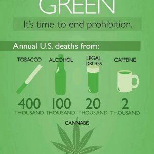 Cannabis Facts & Statistics