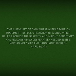 Cannabis Facts & Statistics