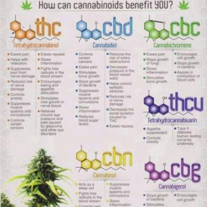 Cannabis Facts