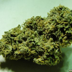 Organic_Bubba_Kush_Nugget