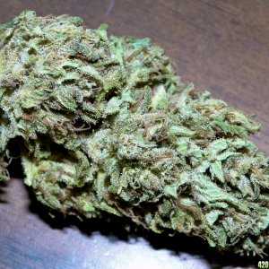 Organic_G_D_P_x_AK-47_Flower1