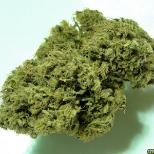 Organic_Sour_Diesel2