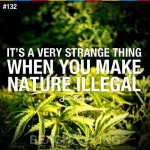 Cannabis Facts