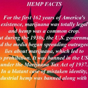 Cannabis Facts