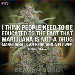 Cannabis Facts