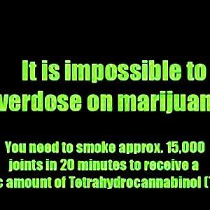 Cannabis Facts