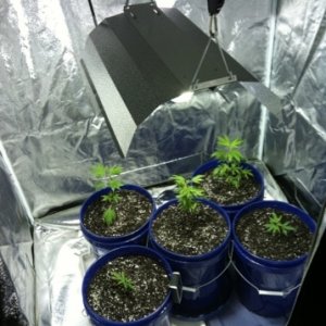 Clones under 450W