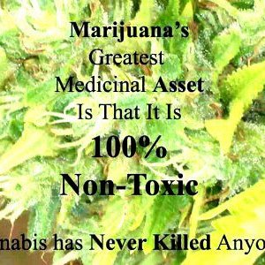 Cannabis Facts