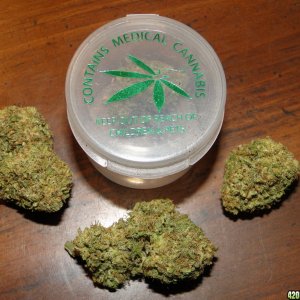 Medical_G_D_P_x_Green_Crack